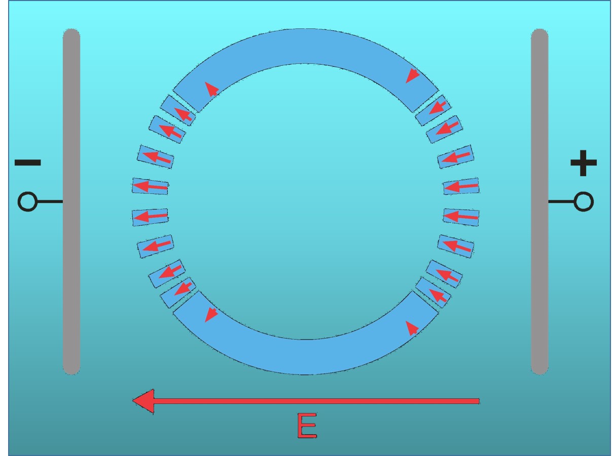 Bioelektrik